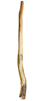 Heartland Didgeridoo (HD380)